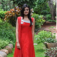 Nikitha Narayan New Pictures | Picture 68846